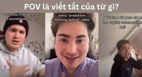 pov là viết tắt của từ gì