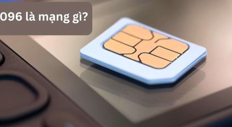 096 là mạng gì