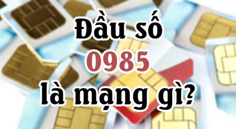 0985 là mạng gì? Ý nghĩa theo phong thủy? Cách đặt mua Online và trực tiếp 0985 là mạng gì