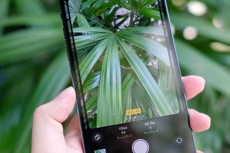 Camera iPhone 14 Pro Max: Được trang bị một hệ thống camera thông minh và cực nét, camera của iPhone 14 Pro Max là điểm sáng của chiếc điện thoại này. Hãy cùng chiêm ngưỡng những bức ảnh tuyệt đẹp mà chiếc camera này có thể thực hiện.