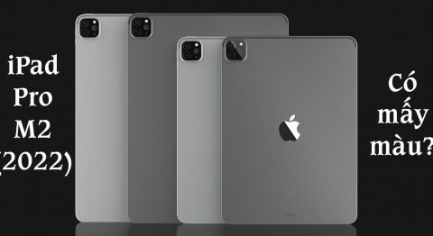 iPad Pro 2022 có mấy màu? Màu nào đẹp và mới lâu hơn? iPad Pro 2022 có mấy màu