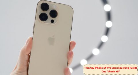 Trên tay iPhone 14 Pro Max màu vàng (Gold) – Sang trọng khẳng định đẳng cấp iPhone 14 Pro Max màu vàng