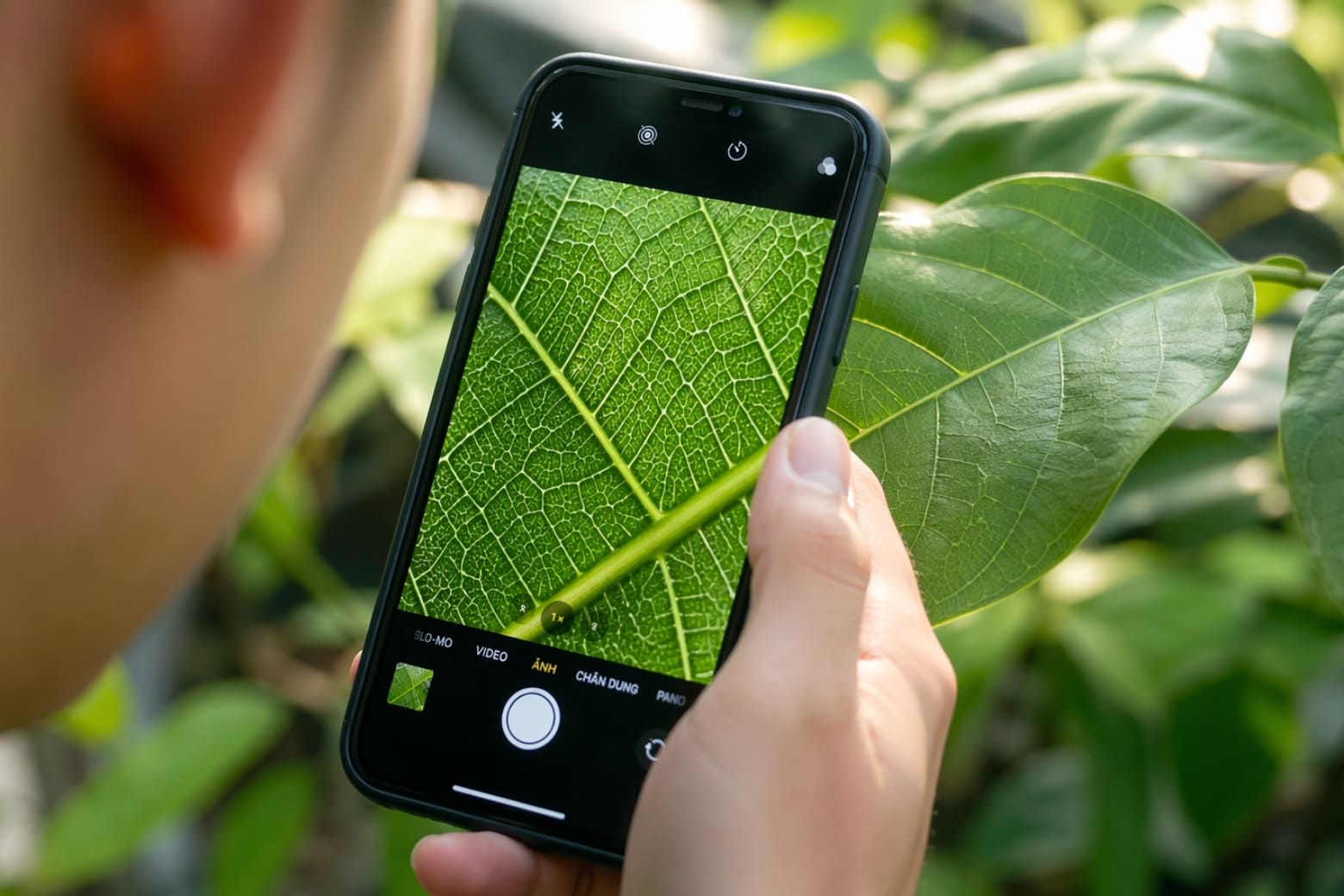 Macro là gì? Sự thật về camera chụp cận cảnh trên điện thoại 5 Chụp ảnh Macro là gì? Cơ chế lấy nét cận cảnh trên smartphone