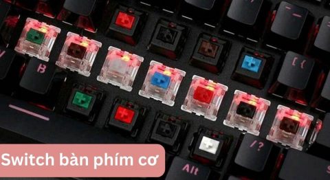 Tìm hiểu chi tiết về các loại Switch bàn phím cơ phổ biến hiện nay Switch bàn phím cơ