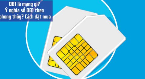 081 là mạng gì
