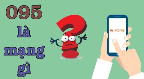 095 là mạng gì