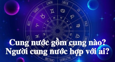 Cung nước gồm cung nào
