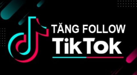 Cách tăng follow TikTok
