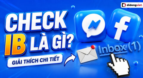 check ib là gì