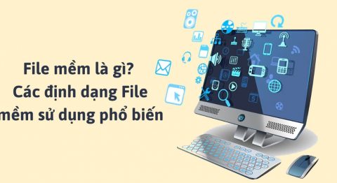 File mềm là gì
