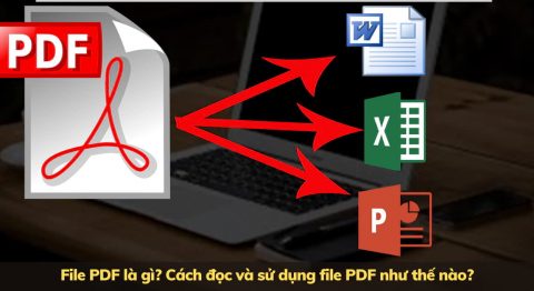 File PDF là gì? Cách đọc và sử dụng file PDF như thế nào? file pdf là gì