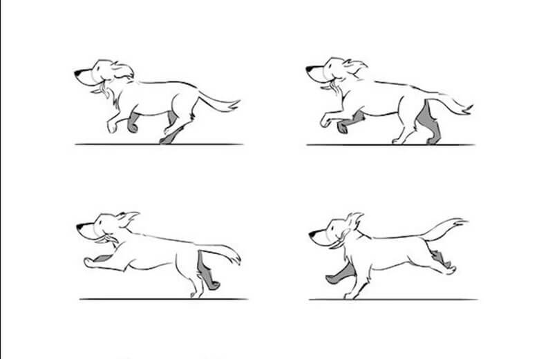 Frame Rate, FPS, vẽ con chó, chạy: Hãy xem những hình ảnh đầy sắc nét và sinh động về con chó chạy trên màn hình của bạn. Chúng tôi sử dụng các kỹ thuật hiện đại nhất để tạo ra hình ảnh với frame rate và FPS cao nhất để bạn có trải nghiệm tuyệt vời.