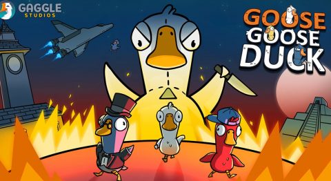 Goose Goose Duck