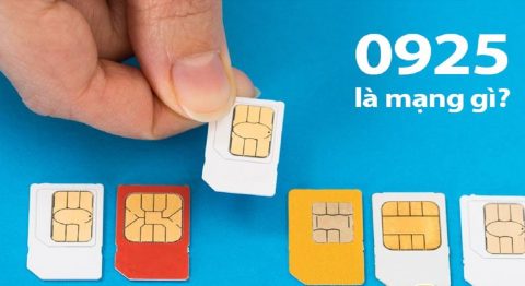 0925 là mạng gì