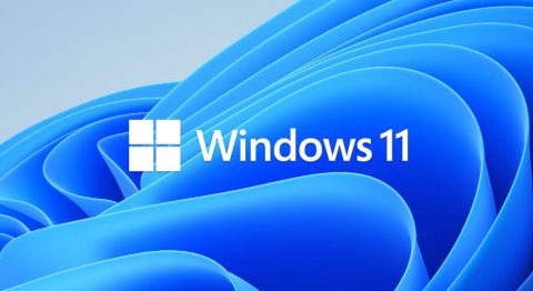 Tải hình nền Win 11 chất lượng ảnh 4K sắc nét mới hình nền windows 11
