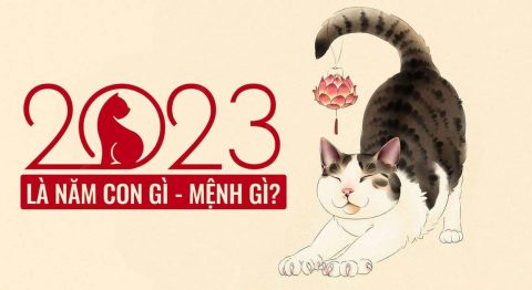 năm 2023 là năm con gì