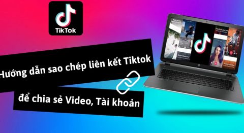 sao chép liên kết tiktok