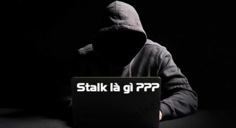 stalk là gì