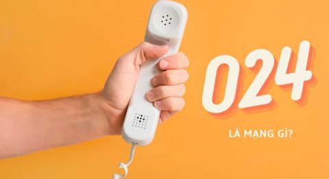 024 là mạng gì? Ở đâu? Có lừa đảo không? Ý nghĩa theo phong thủy 024 là mạng gì