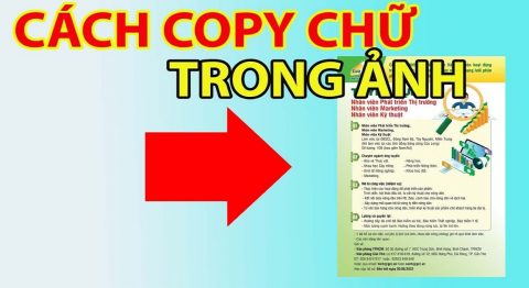 cách copy chữ trong ảnh