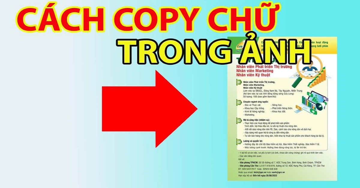 Cách copy chữ trong ảnh tạo thành đoạn text cực nhanh