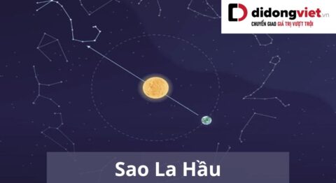 sao la hầu