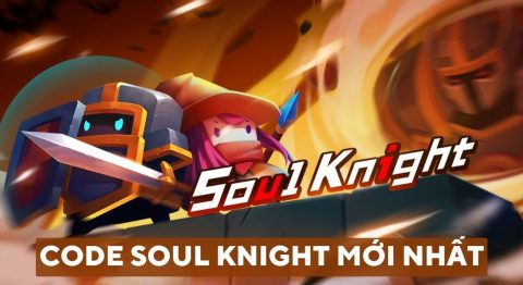 Code Soul Knight