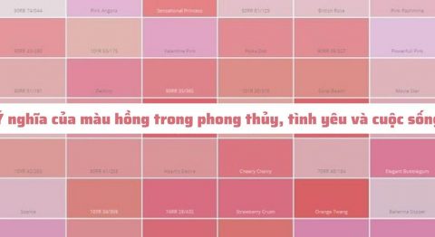 màu hồng