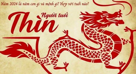 năm 2024 là năm con gì