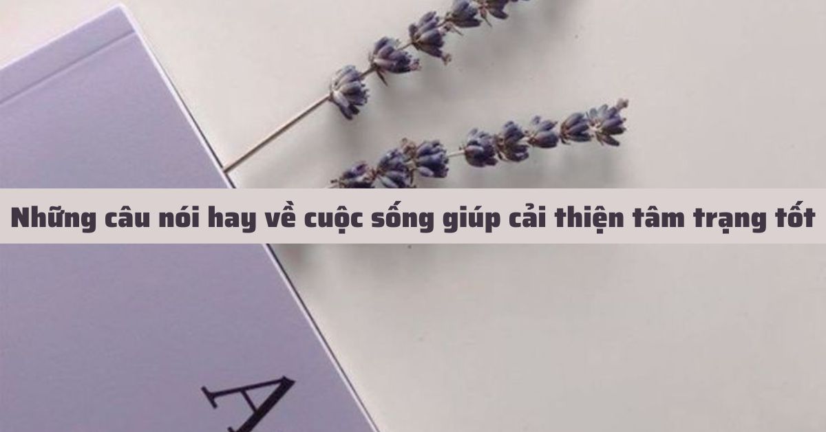 những câu châm ngôn về cuộc sống