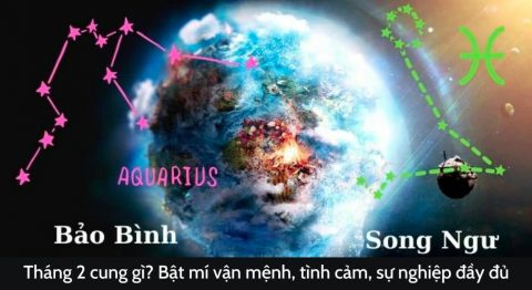 Tháng 2 là cung gì? Giải mã tất tần tật tính cách, vận mệnh, tình yêu, sự nghiệp trong năm nay tháng 2 cung gì