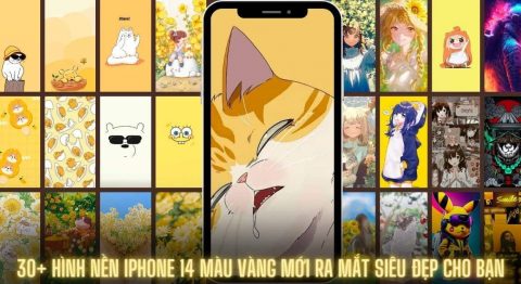 Hình nền iPhone 14 màu vàng