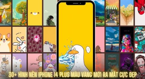 Tải về 30+ Hình nền iPhone 14 Plus màu vàng mới ra mắt siêu đẹp Hình nền iPhone 14 Plus màu vàng