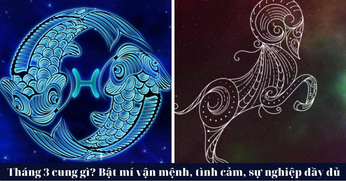 Mùng 3 tháng 2 là cung gì? Khám phá tính cách và vận mệnh người sinh ngày này