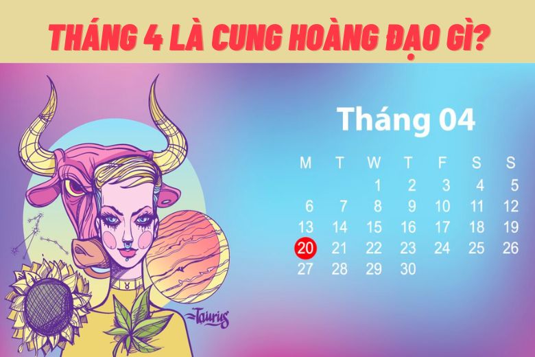 6. Tổng Kết Và Những Lời Khuyên