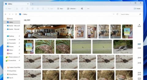 Windows 11 sẽ được cập nhật tính năng xem ảnh Gallery trong File Explorer