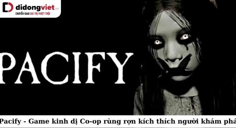 Pacify