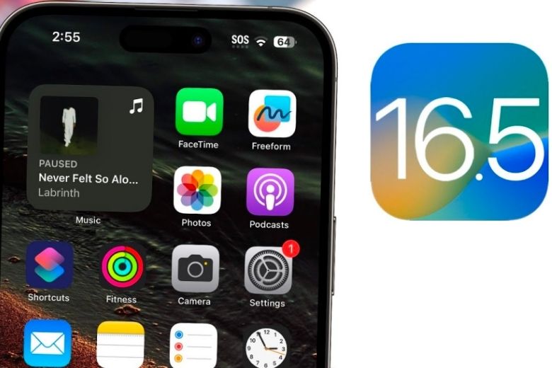 iOS 16.5
