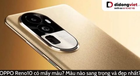 OPPO Reno10 có mấy màu