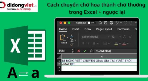Cách chuyển chữ hoa thành chữ thường trong Excel và ngược lại chuyển chữ hoa thành chữ thường trong Excel