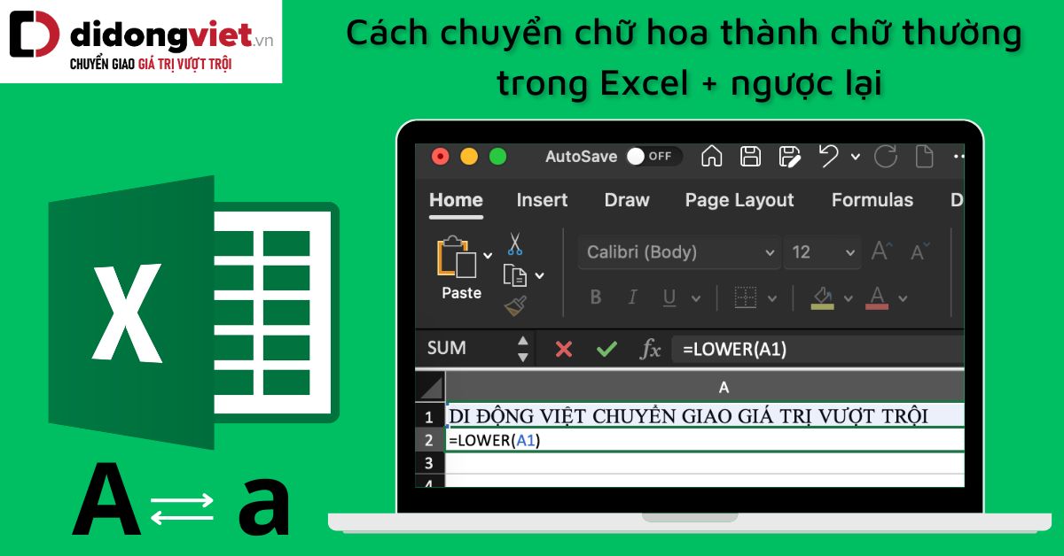 Cách Chuyển Chữ Hoa Thành Chữ Thường Trong Excel Ngược Lại 4102