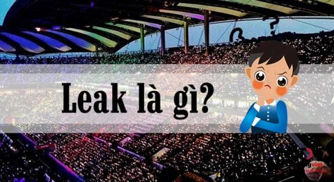 Leak là gì? ý nghĩa của thuật ngữ “Leak” trong các lĩnh vực khác nhau