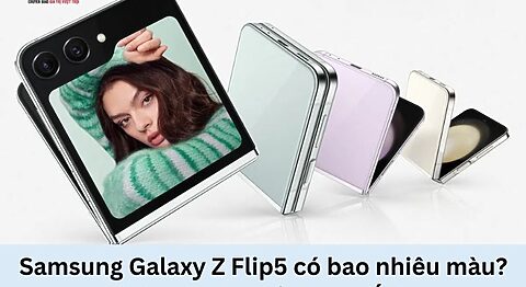 Samsung Z Flip5 có mấy màu? Màu nào đẹp nhất Samsung Galaxy Z Flip5 có bao nhiêu màu?