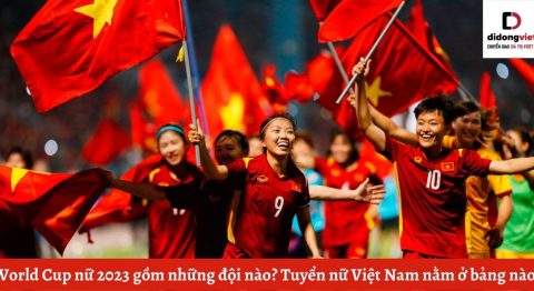 World Cup nữ 2023 gồm những đội nào? Tuyển nữ Việt Nam nằm ở bảng nào?