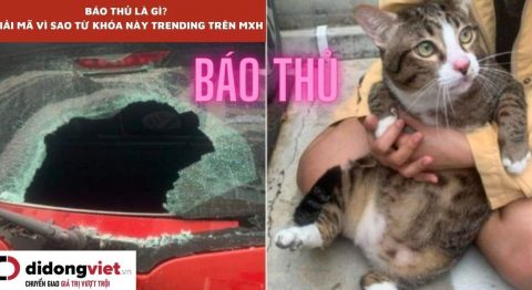 báo thủ là gì