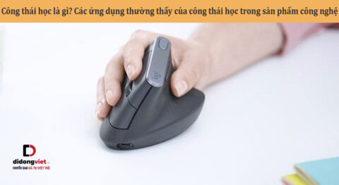 Công thái học là gì? Các ứng dụng thường thấy của công thái học trong thiết kế sản phẩm công nghệ