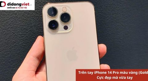 Trên tay iPhone 14 Pro màu vàng (Gold) – Màu luôn khan hiếm hàng của nhà “táo” iPhone 14 Pro màu vàng