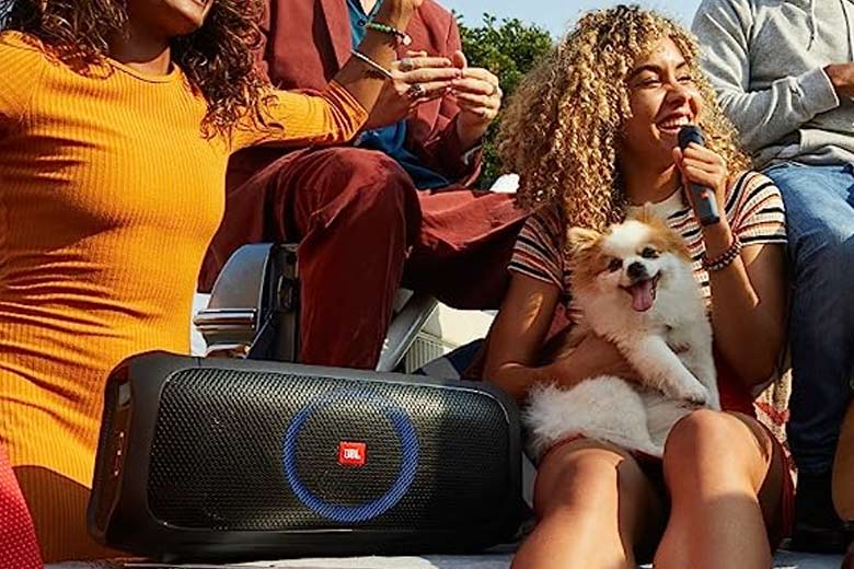 JBL Partybox On The Go vs Partybox 200
