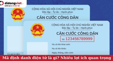 Mã định danh điện tử là gì? Nhiều lợi ích quan trọng cho mỗi công dân mã định danh điện tử