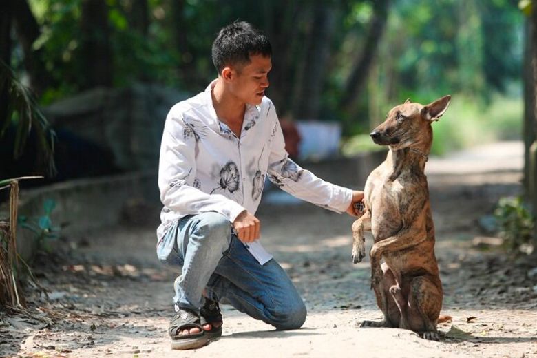 báo thủ là gì